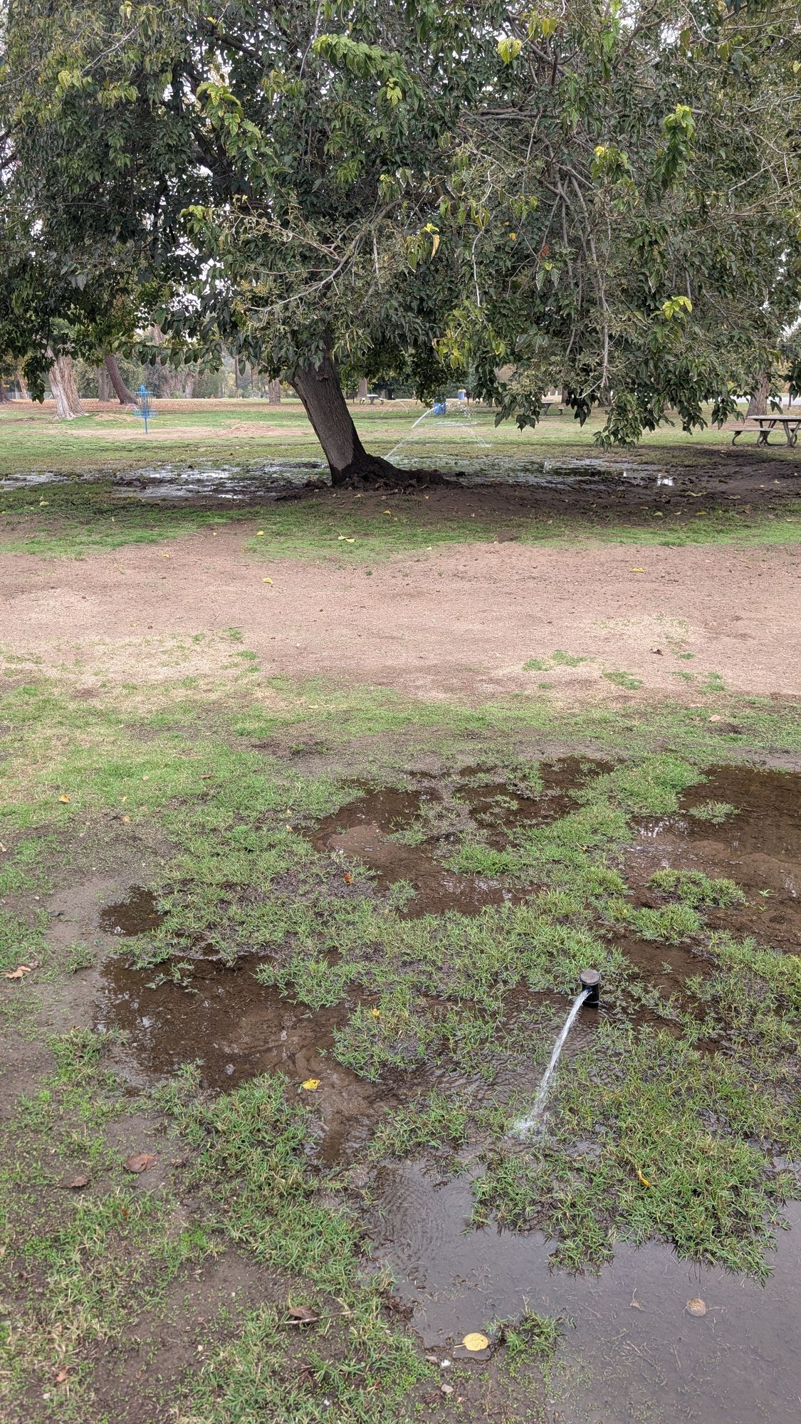 Total waste of resources in this park. Certain baskets are unplayable without boots.
