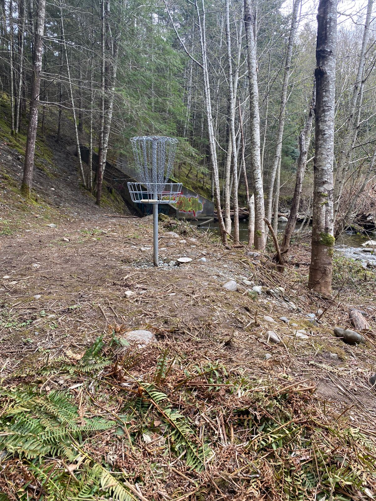 Hole 11 basket