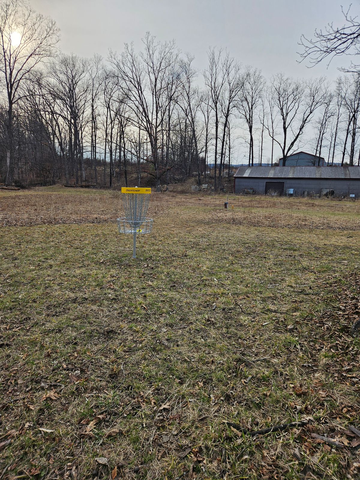 Hole 3 basket