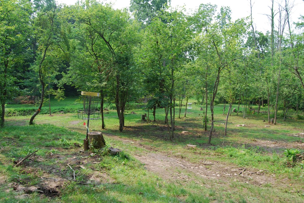 Hole 7 short pin position in relation to long pin position