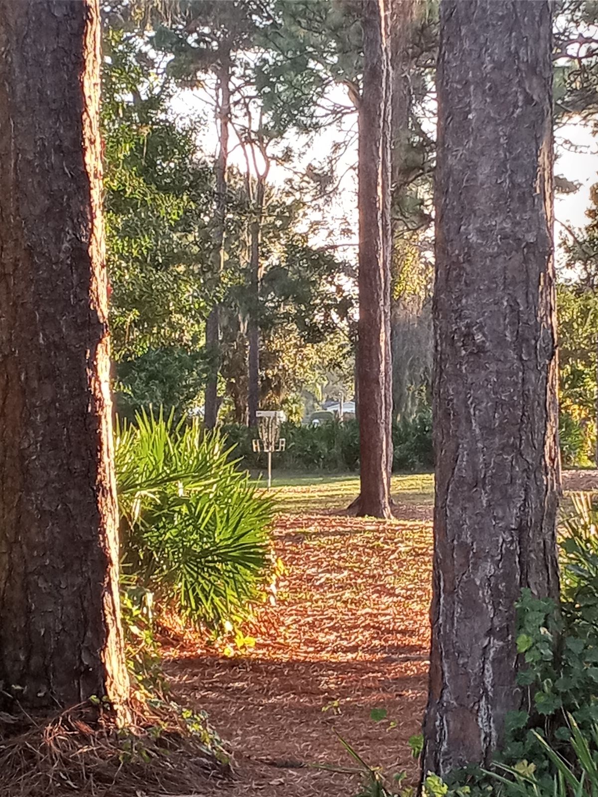 Hole 2