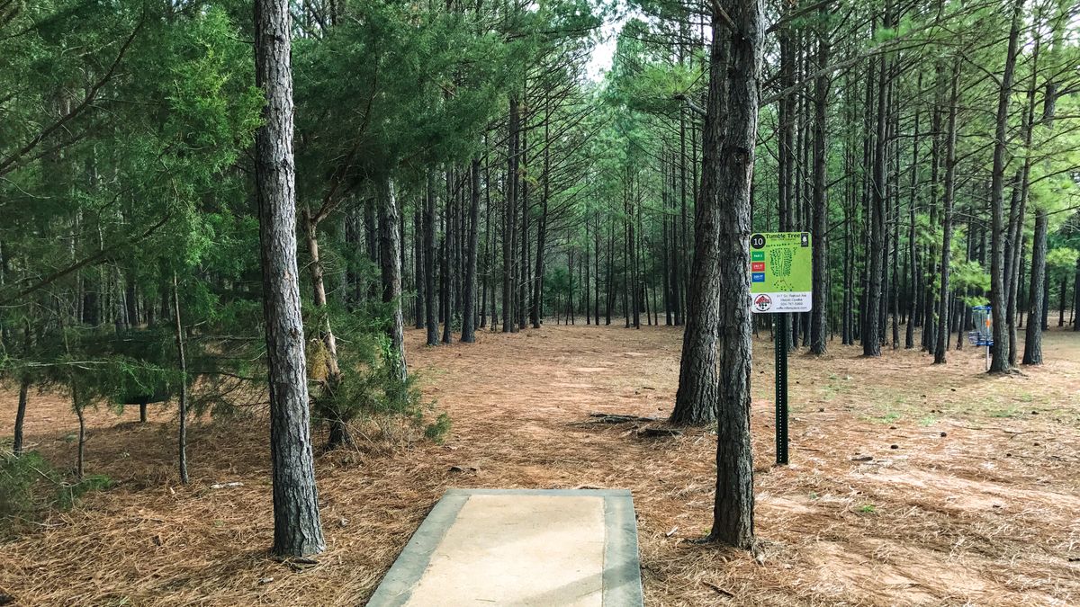 Hole 10