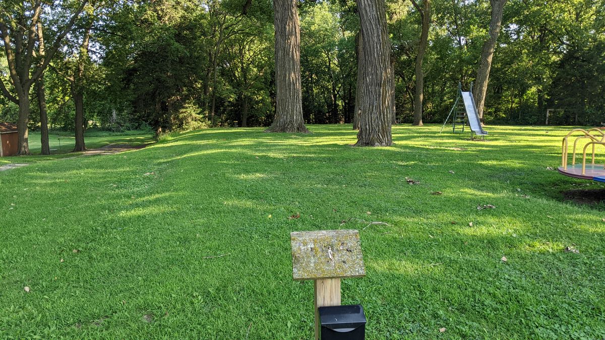 Tee #1