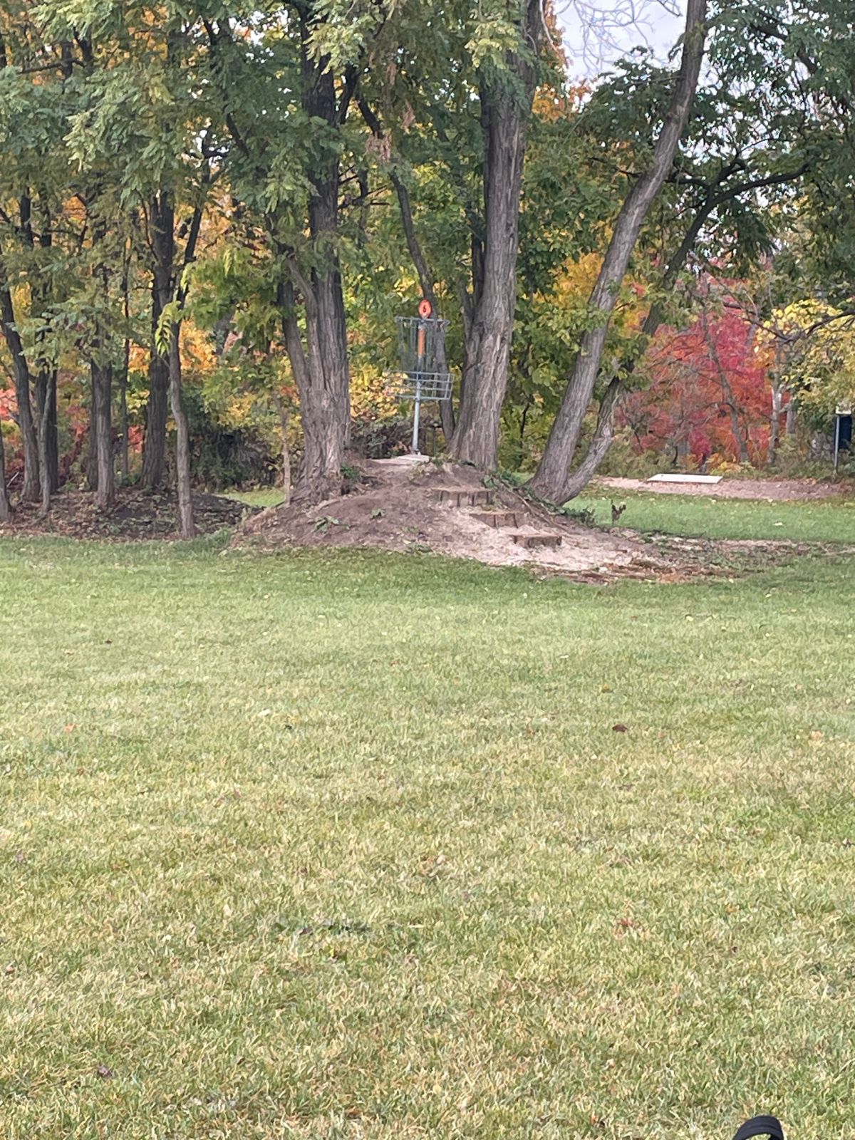 New basket placement on hole 6.