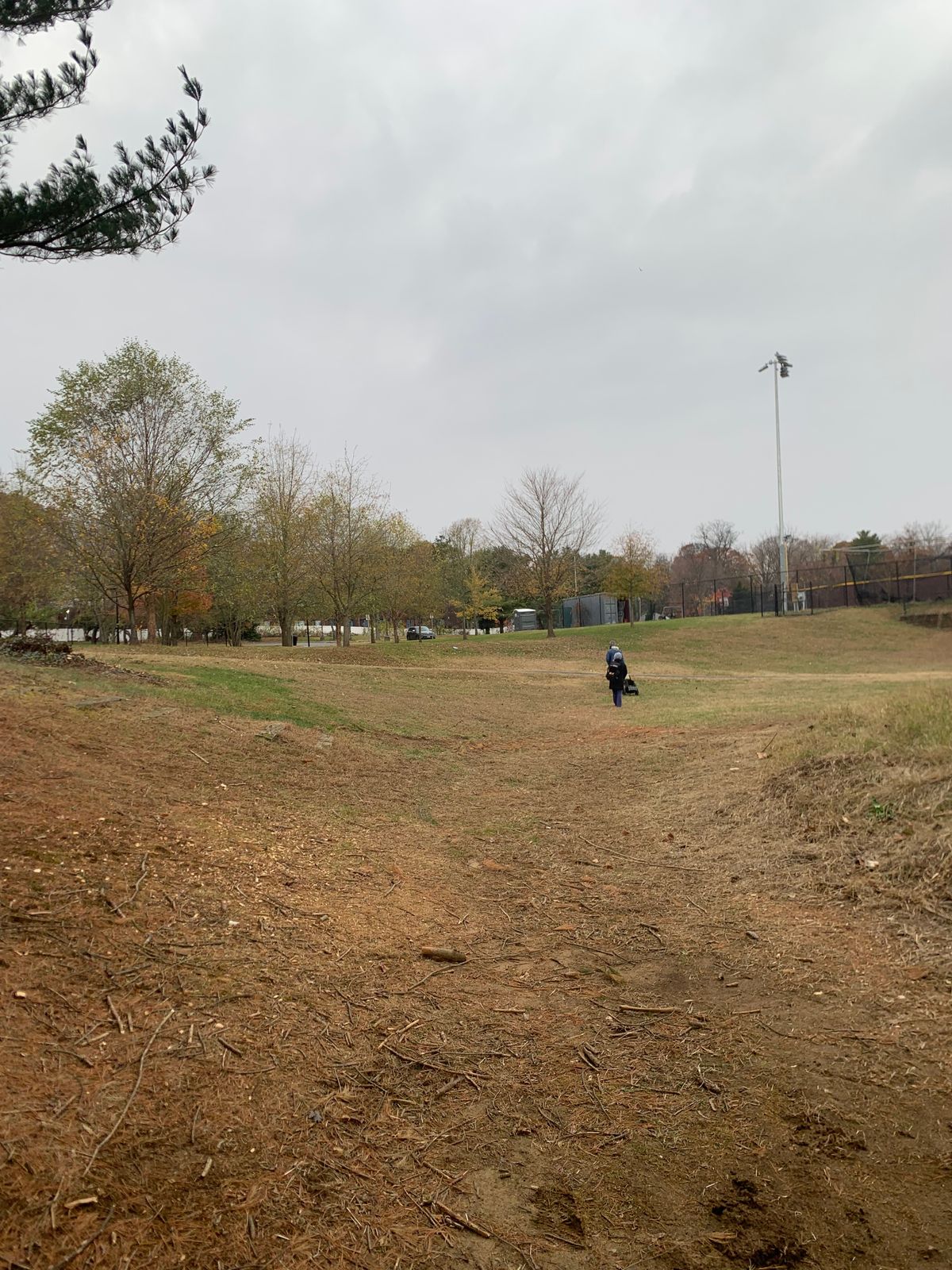 Tee area of hole 7