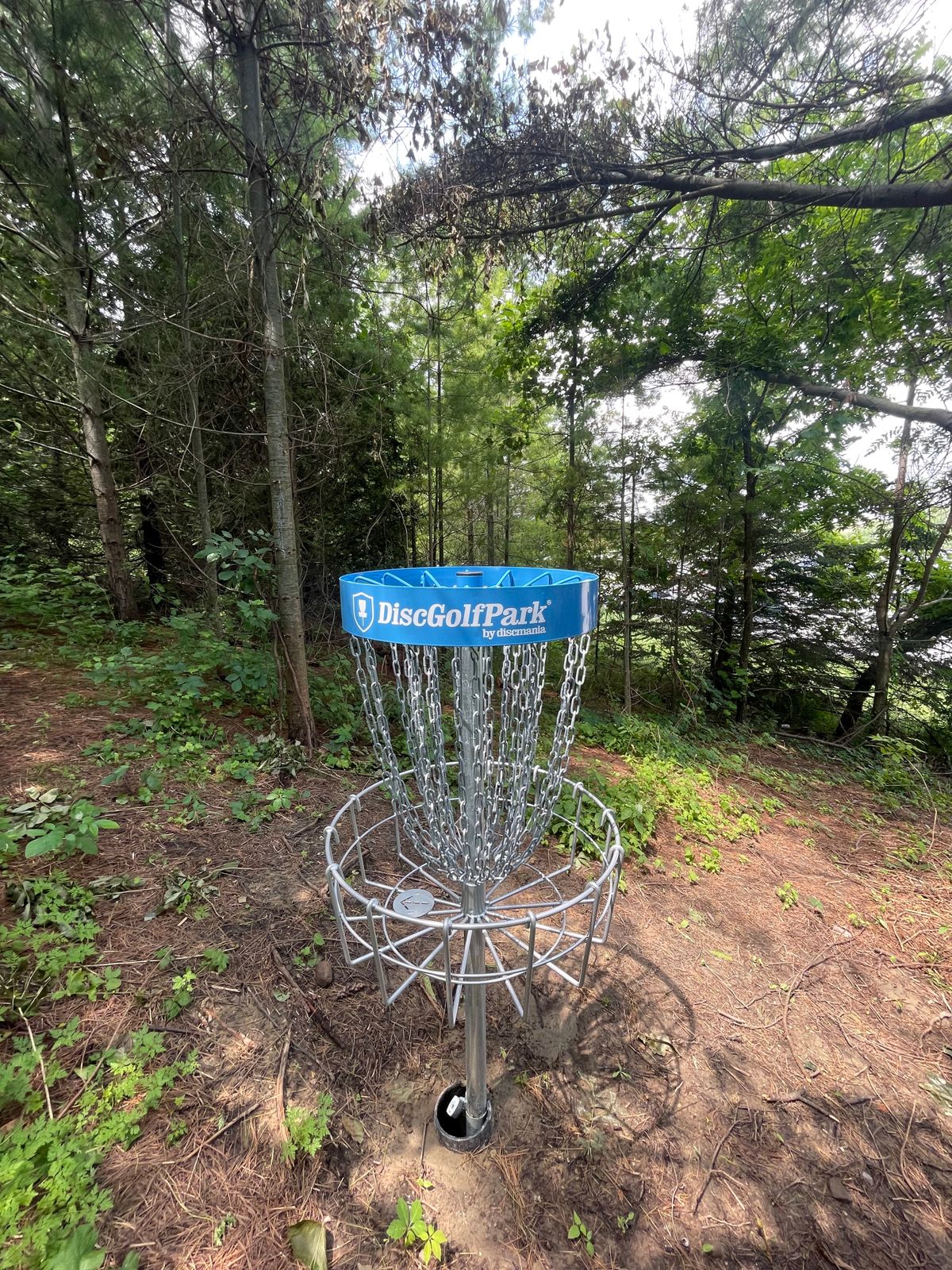 Hole 5!