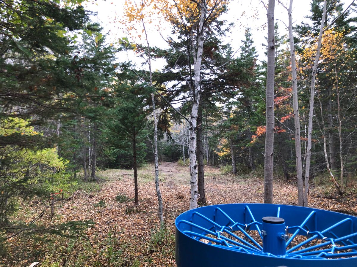 Hole 15