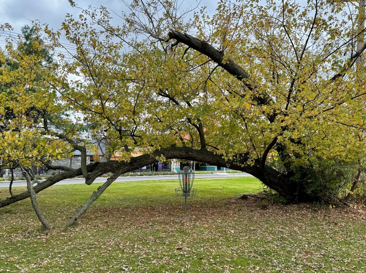 Hole #11 has one of coolest guardians I’ve seen.