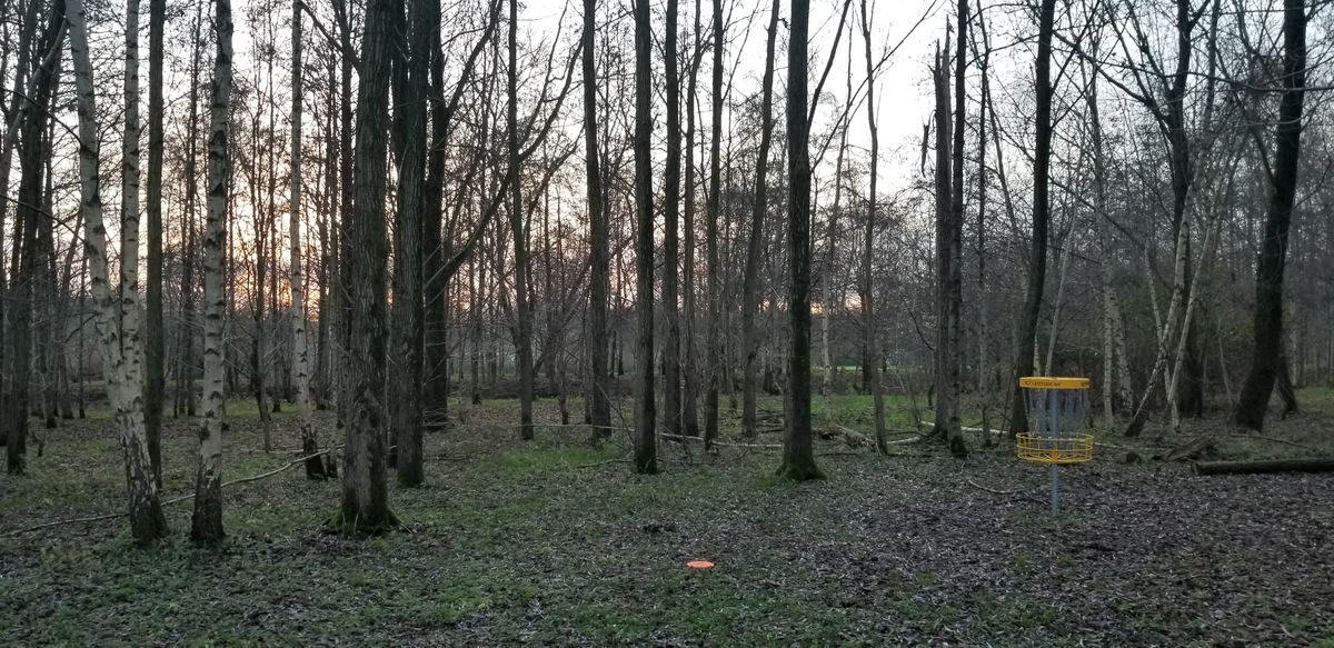 Hole 3