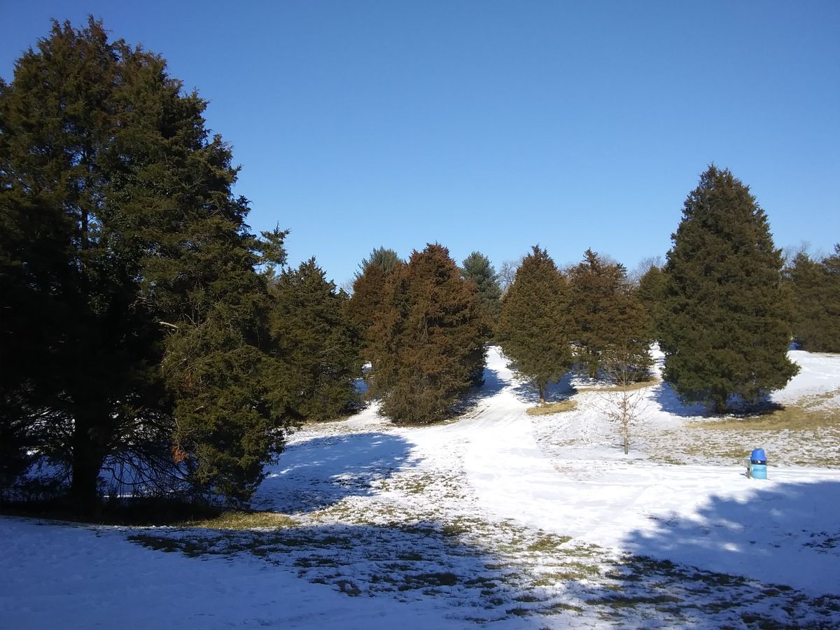 Looking back towards #11 pin and #12 tee