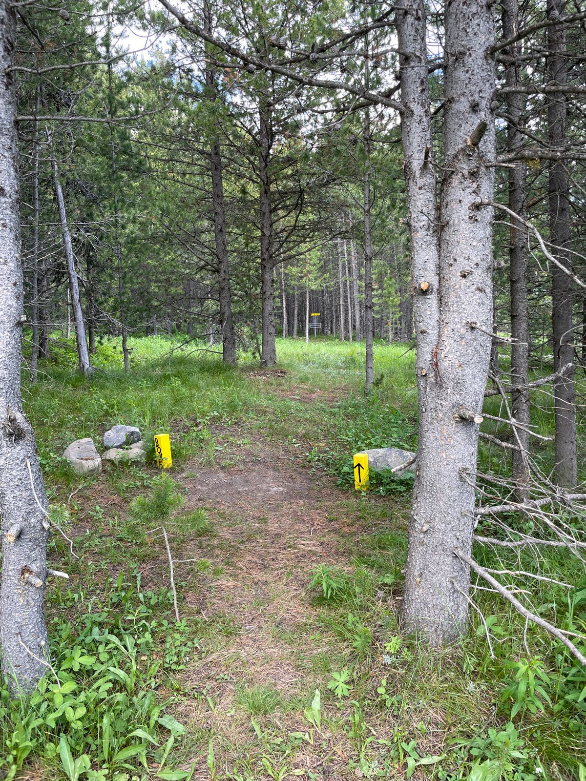 Hole 5
