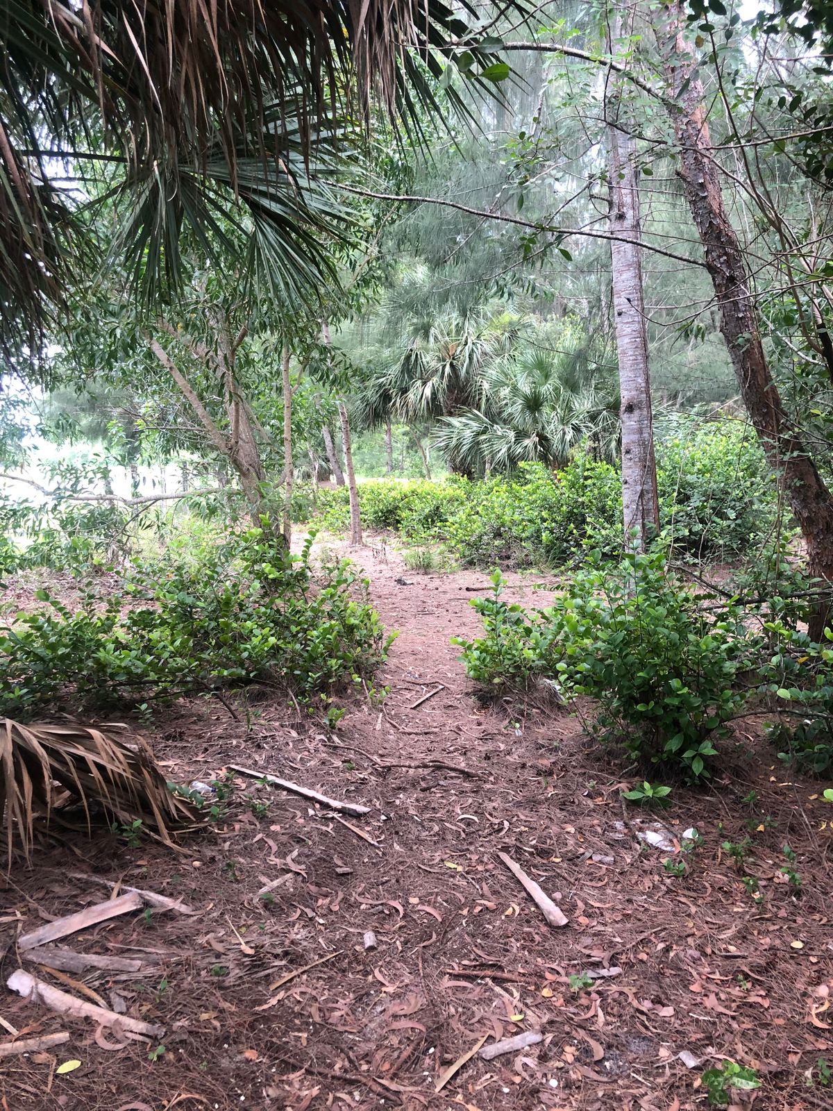 Hole 16