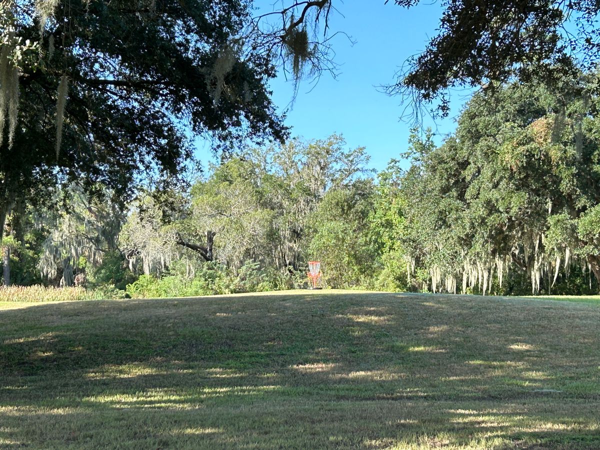 #7 approach