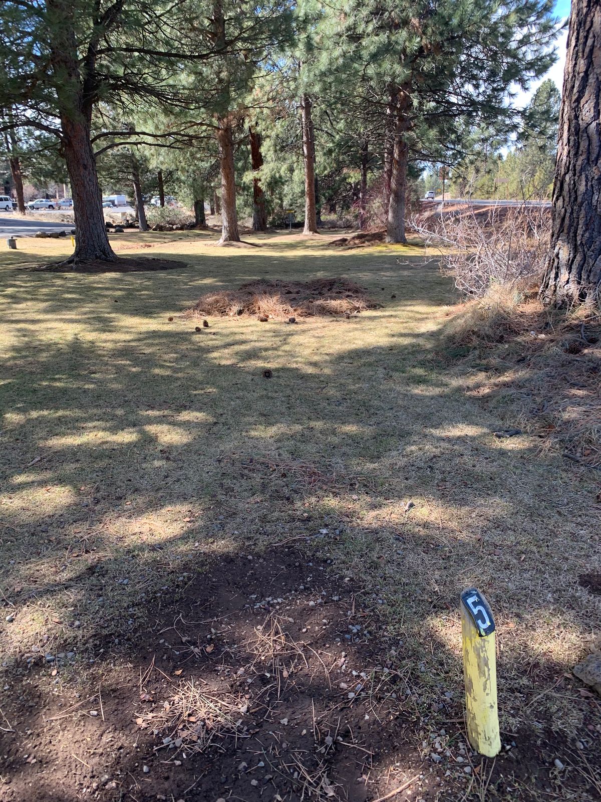 Tee for hole #5