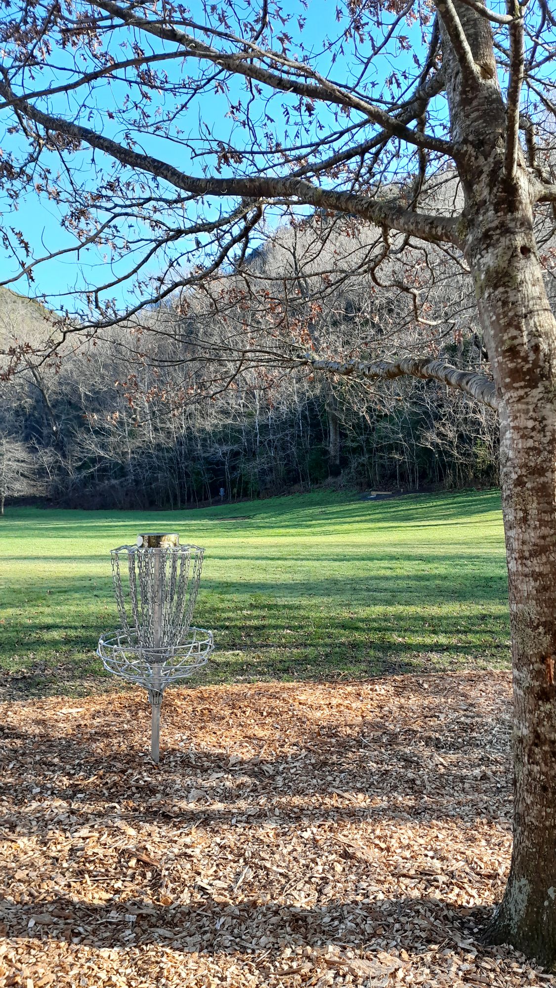 Hole 7 basket