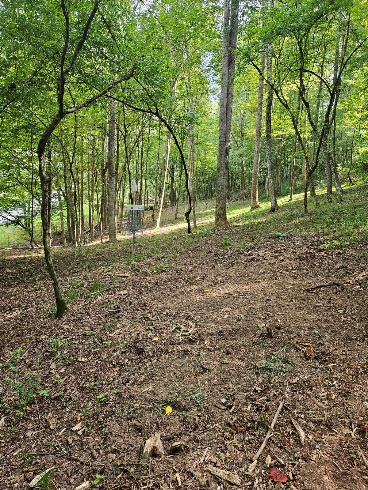 Hole 11 Long Basket. Note: On or Accross Road is OB. Short 11 Basket visible near road.