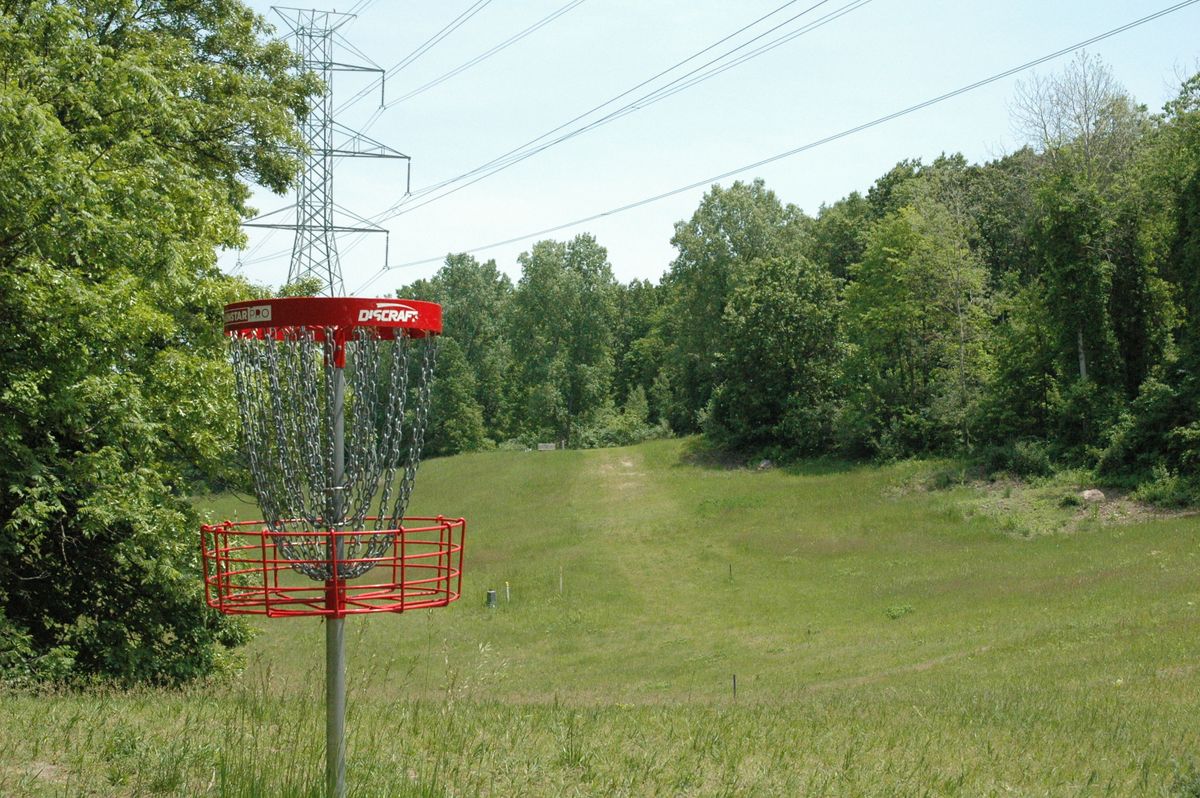 Hole 8 basket looking directly back at tee pad