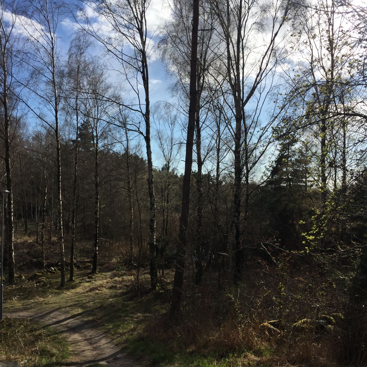 Hål 5 i solskenet