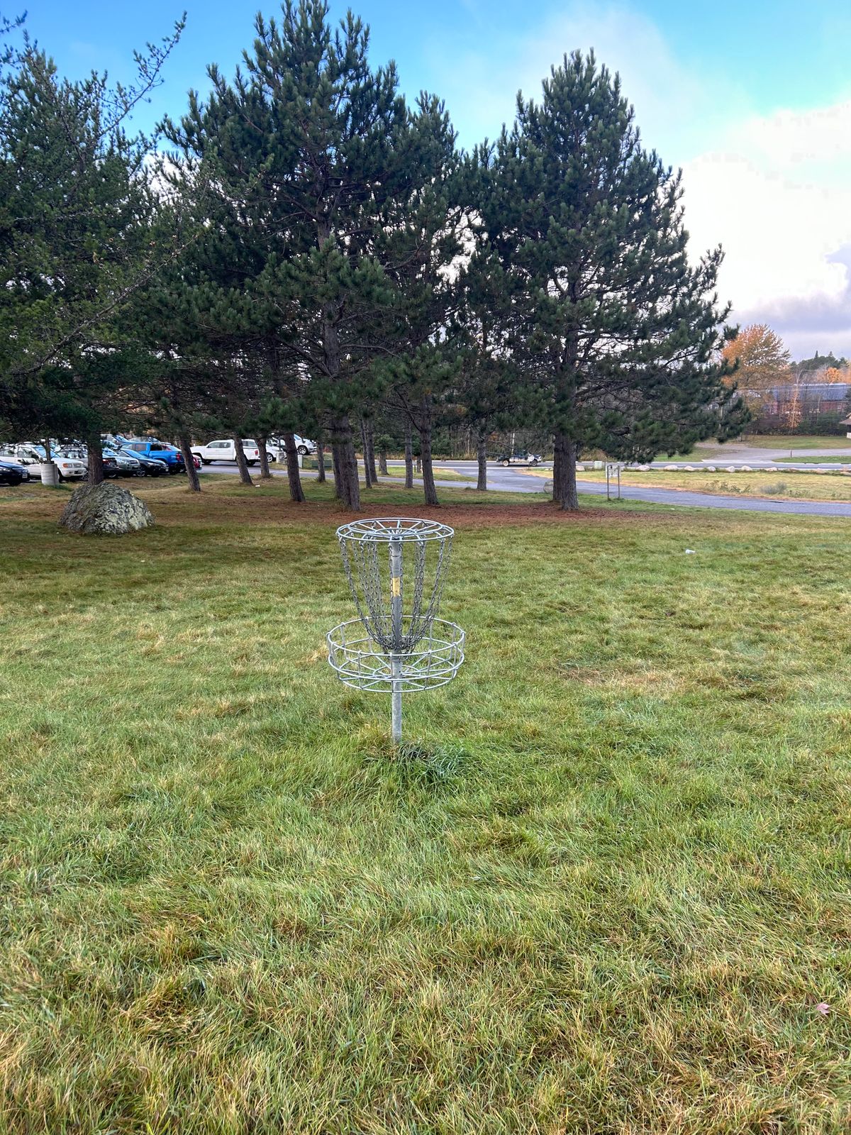 Hole 9 basket looking back towards teepad