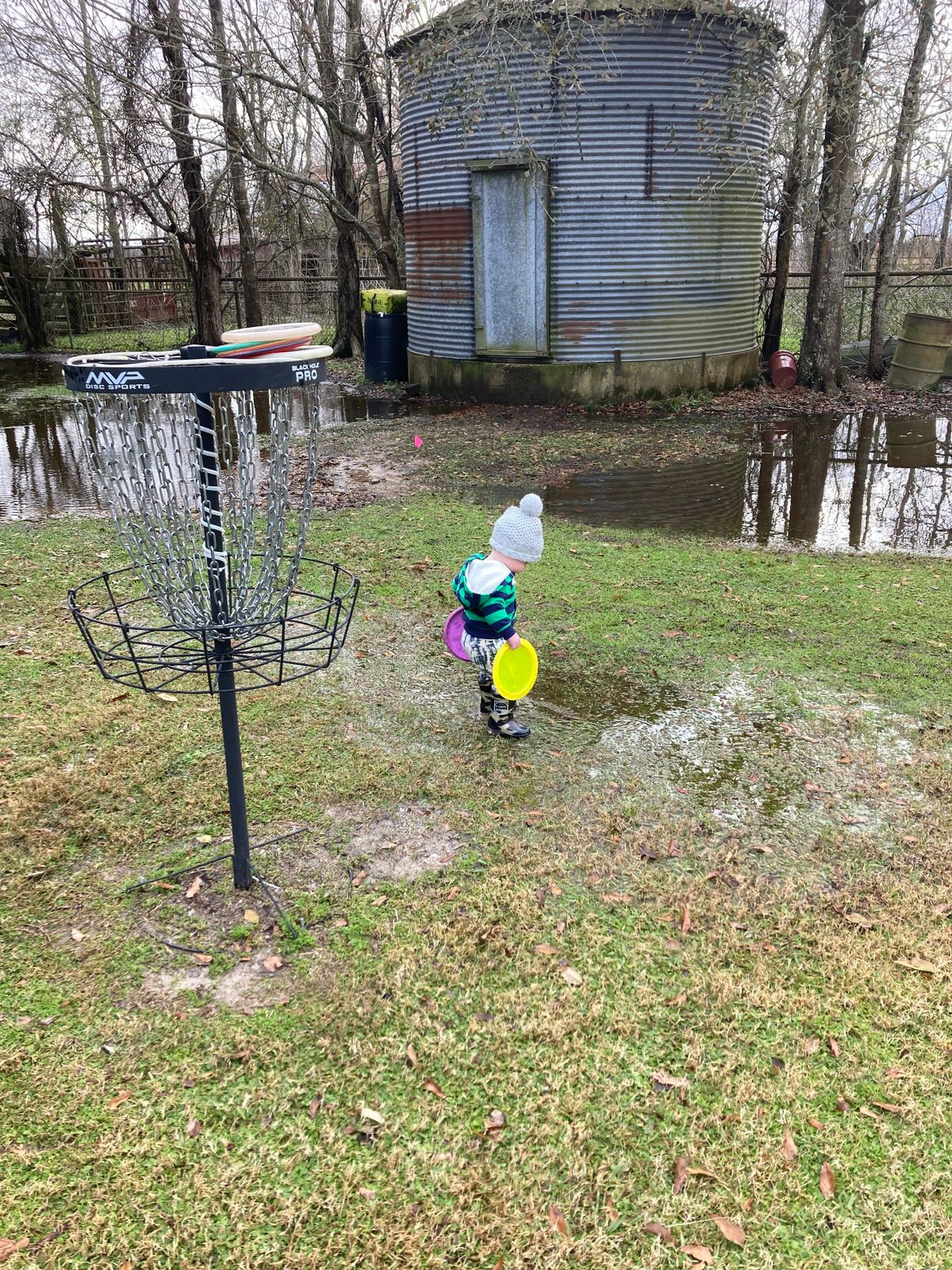 Grandson is more interested in splashing in the puddles than putting the disc in the basket