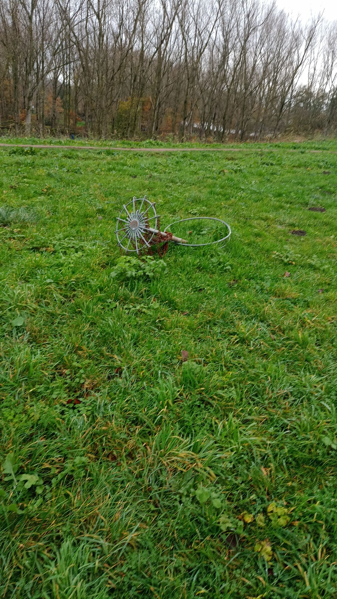 Hole 5 basket (R.I.P)