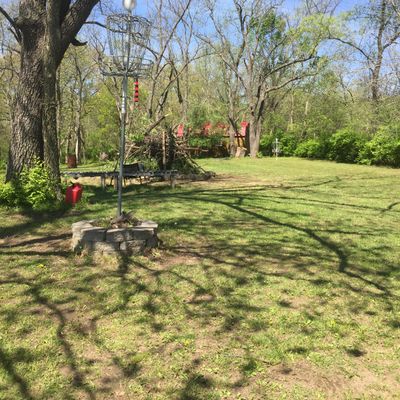 Hole 10 (elevated basket)