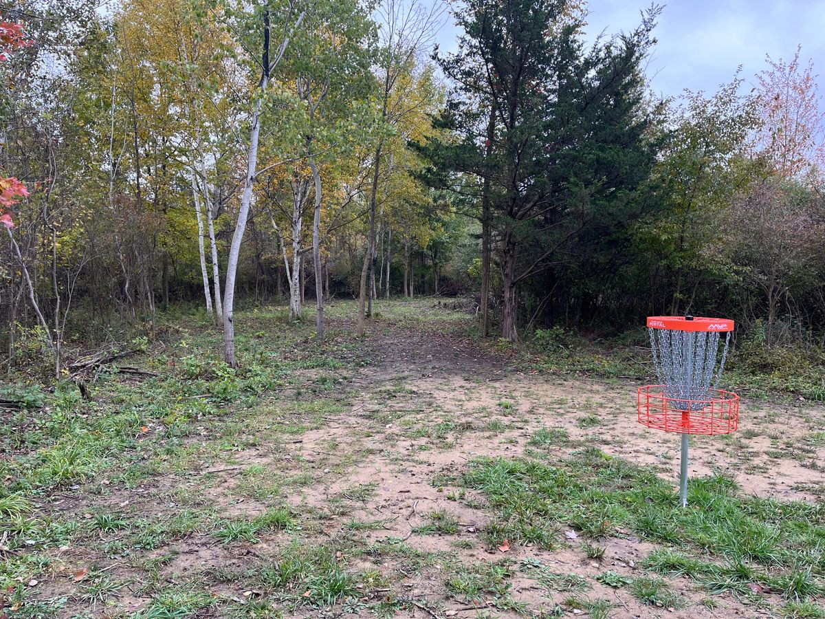 Hole 2 back up the fairway, right backhand hyzer