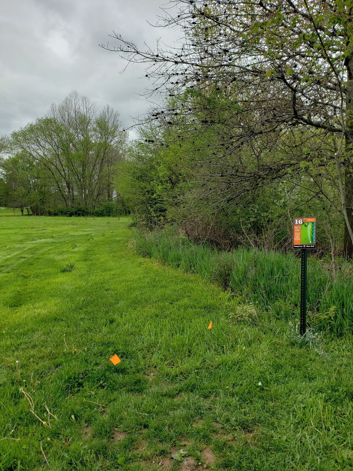 Hole 16 plays into a gap in the trees at the edge of the field.  Note that there is a large creek just through the brush along the right side of this hole.