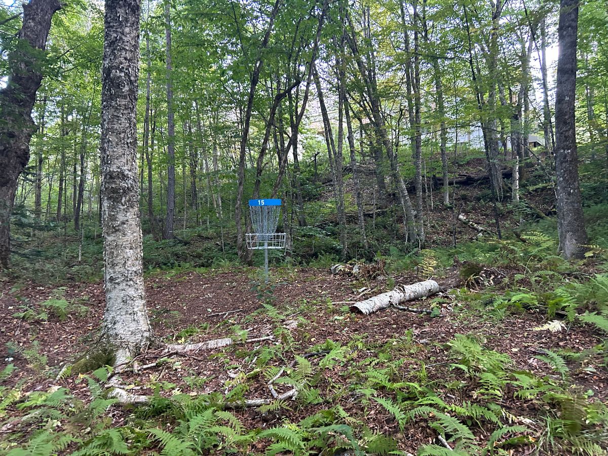 Hole 15 green