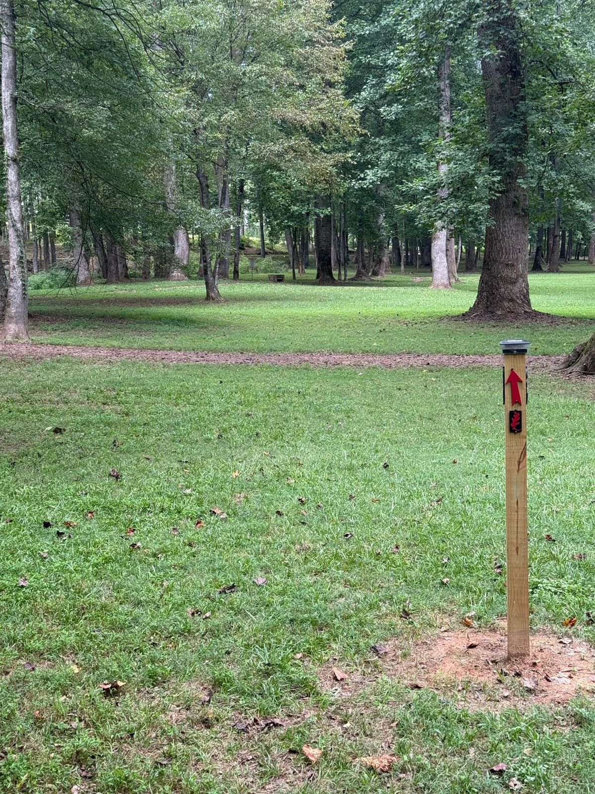 Hole 3