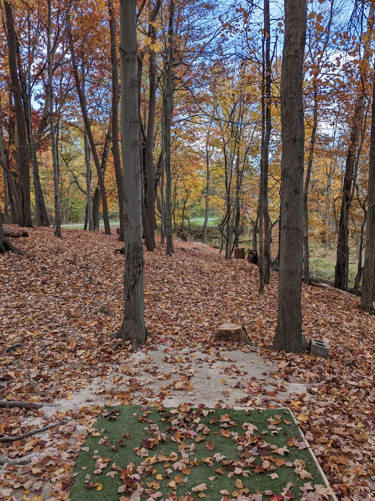 Hole 12 tee