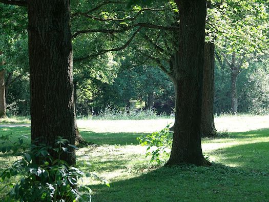 Fairway 3