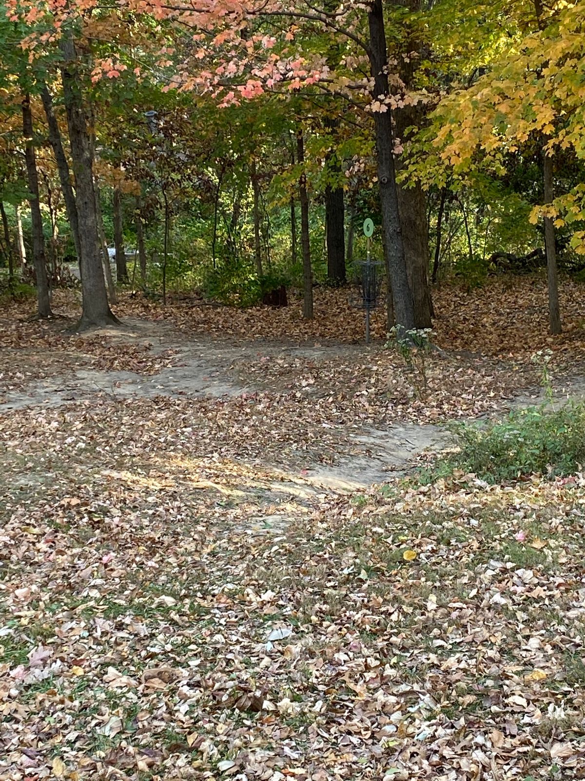 Hole 6 basket