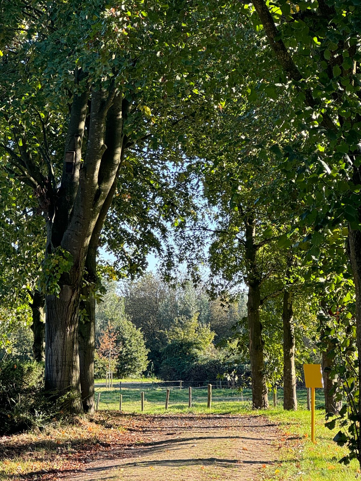 Hole 9 red