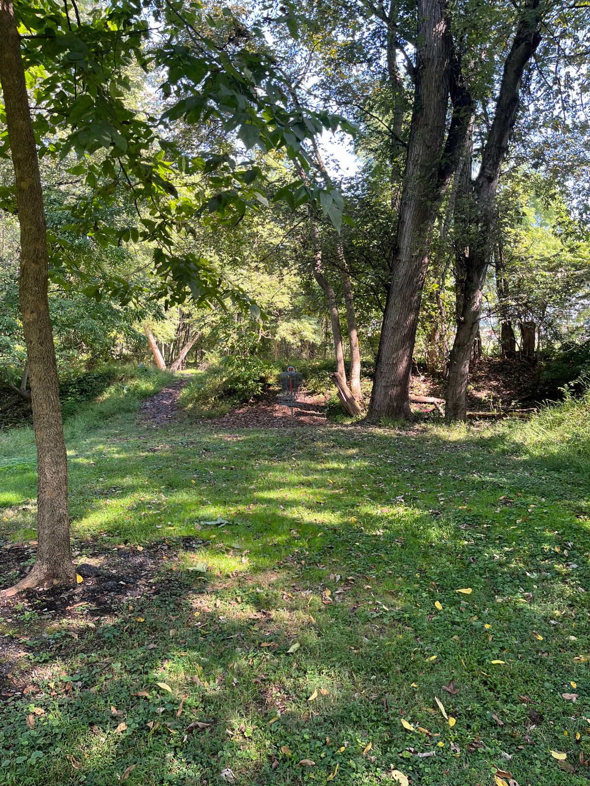 Hole 11 basket