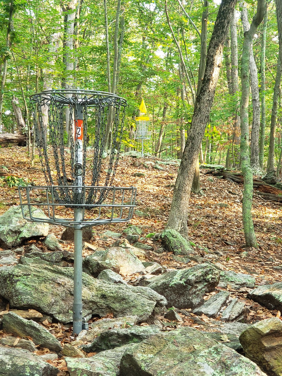 Hole 2 from Silver basket to Gold