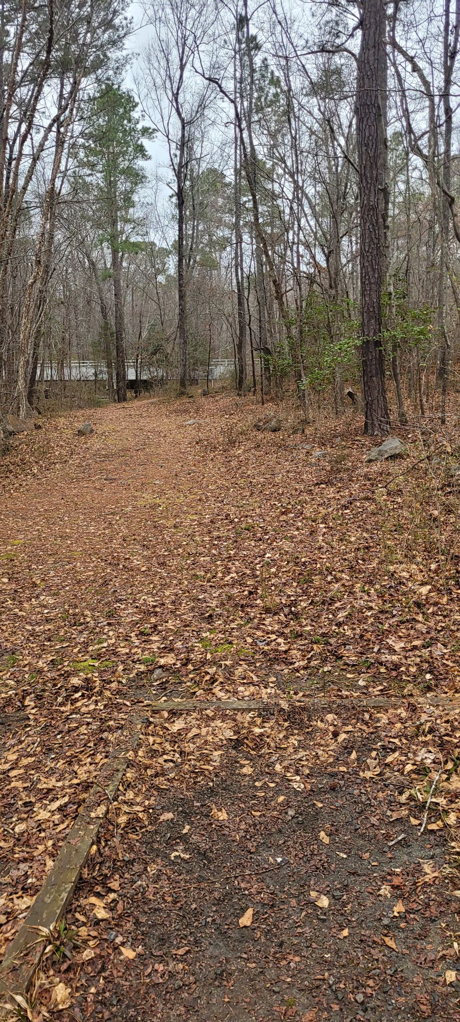 Orange Tee, Hole 11