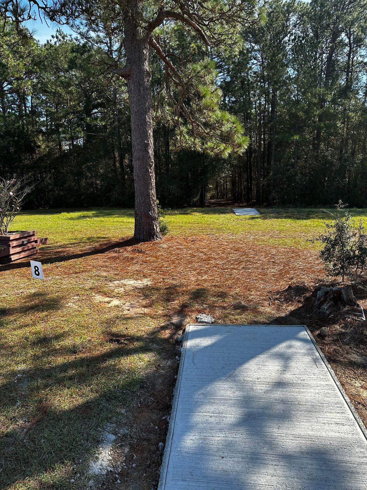 Hole 8 Gold and Blue