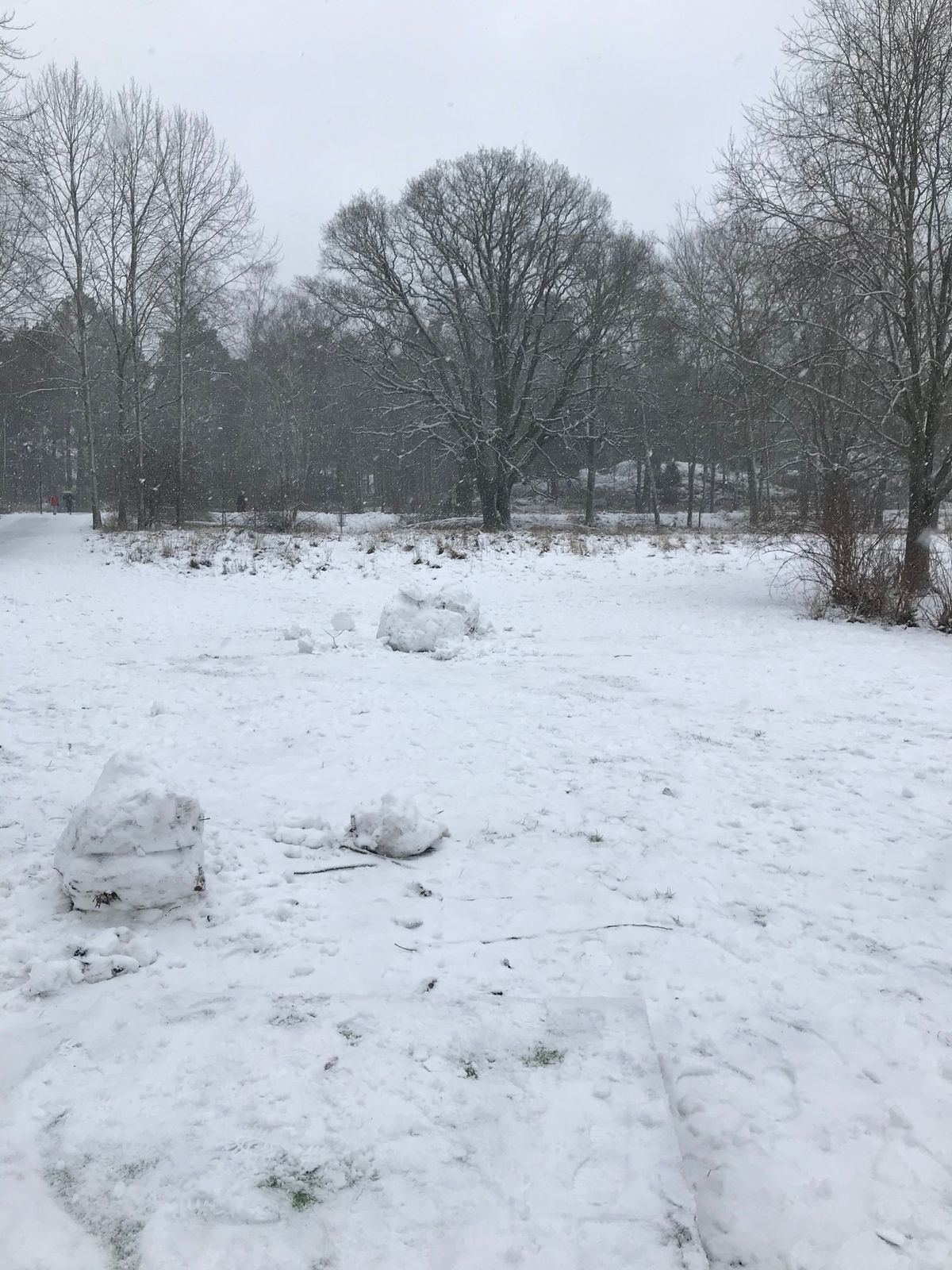 Hål 1 tee, korg till vänster om trädet rakt fram