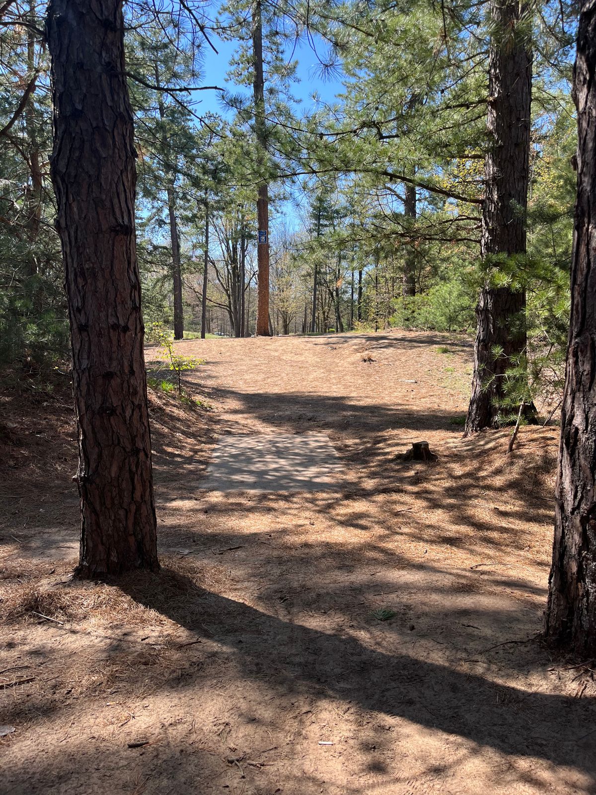 Hole 7 spring 2024