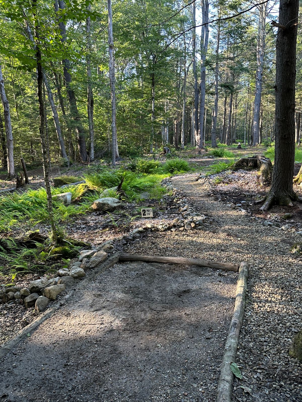 Hole 2 - Par 3 - 316’