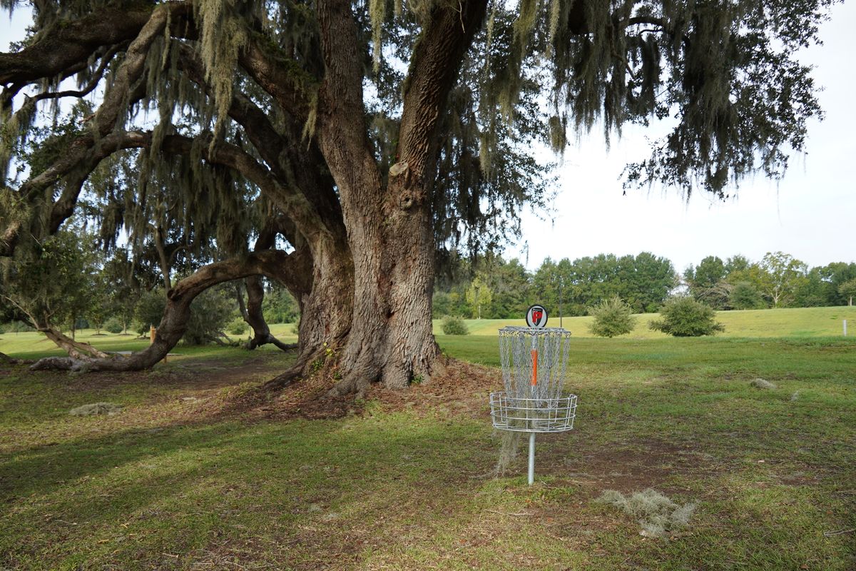 Practice basket before hole 1