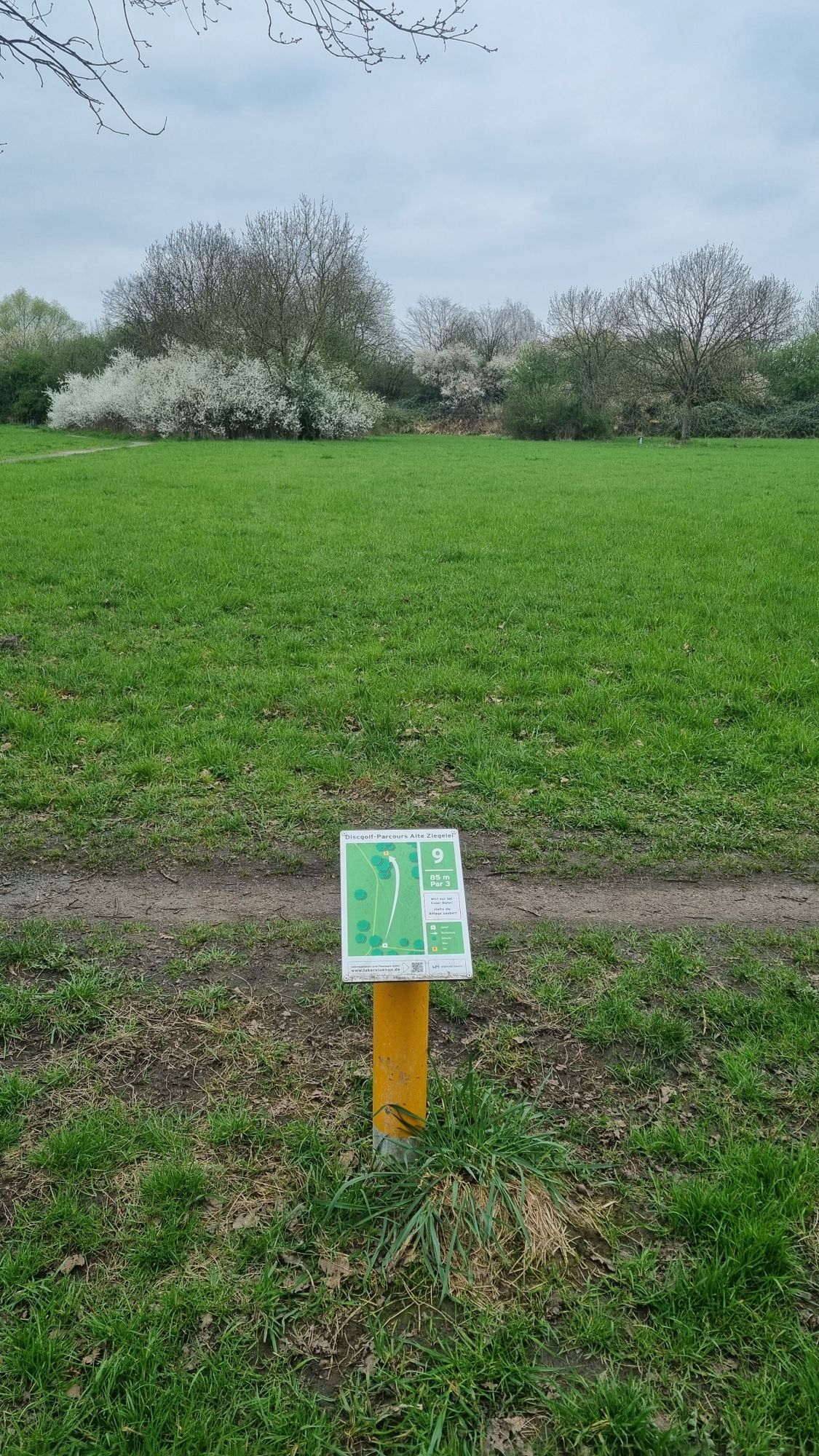 Bahn 9