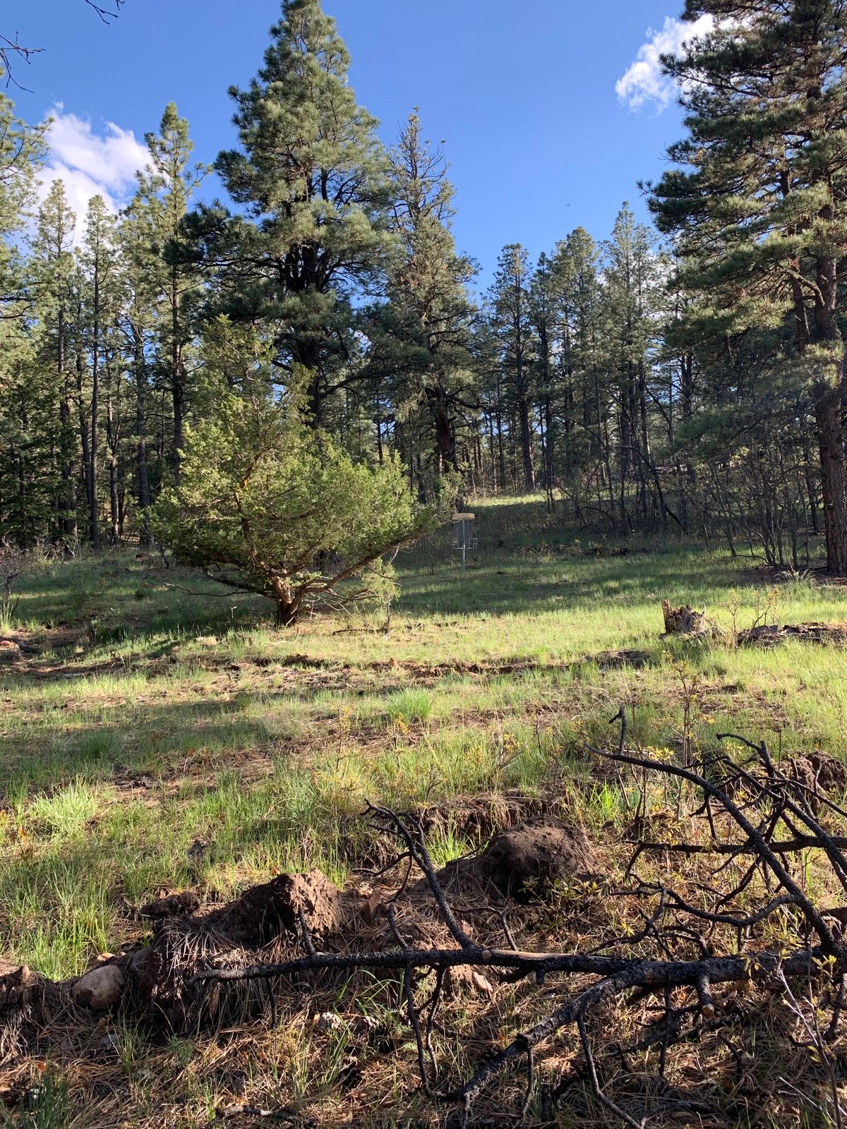 Hole 14