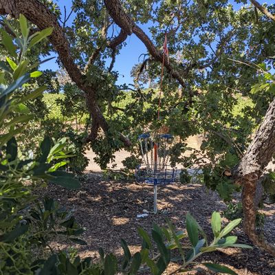 Tucked nicely away under an oak tree, putting on the shade is very welcome.