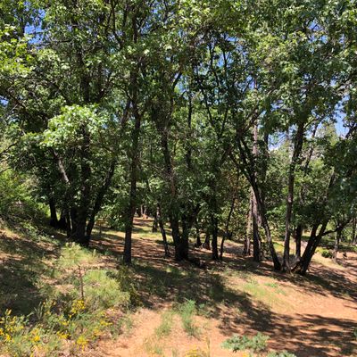 View behind hole 4
