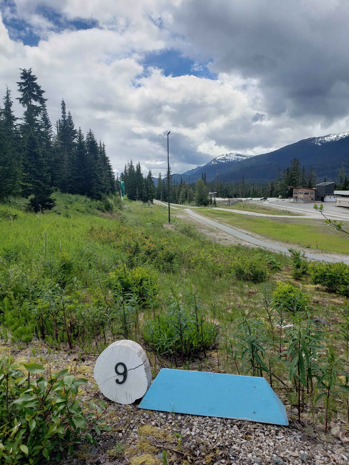 Hole 9 white tee.