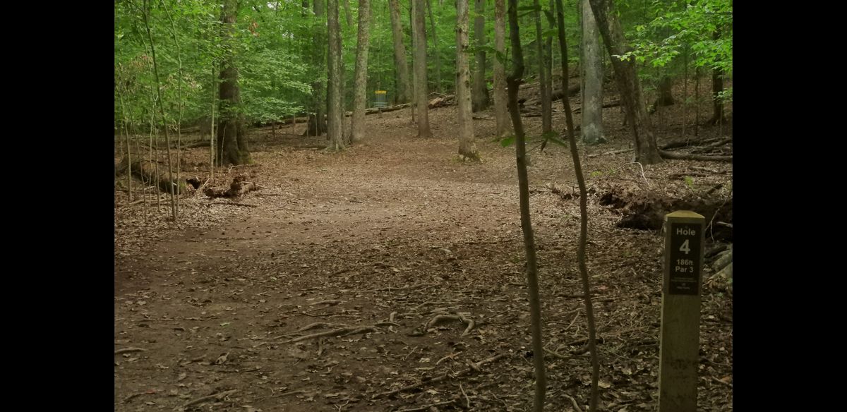 Hole 4 plays RHBH. 

Alternative tee pad under development plays LHBH