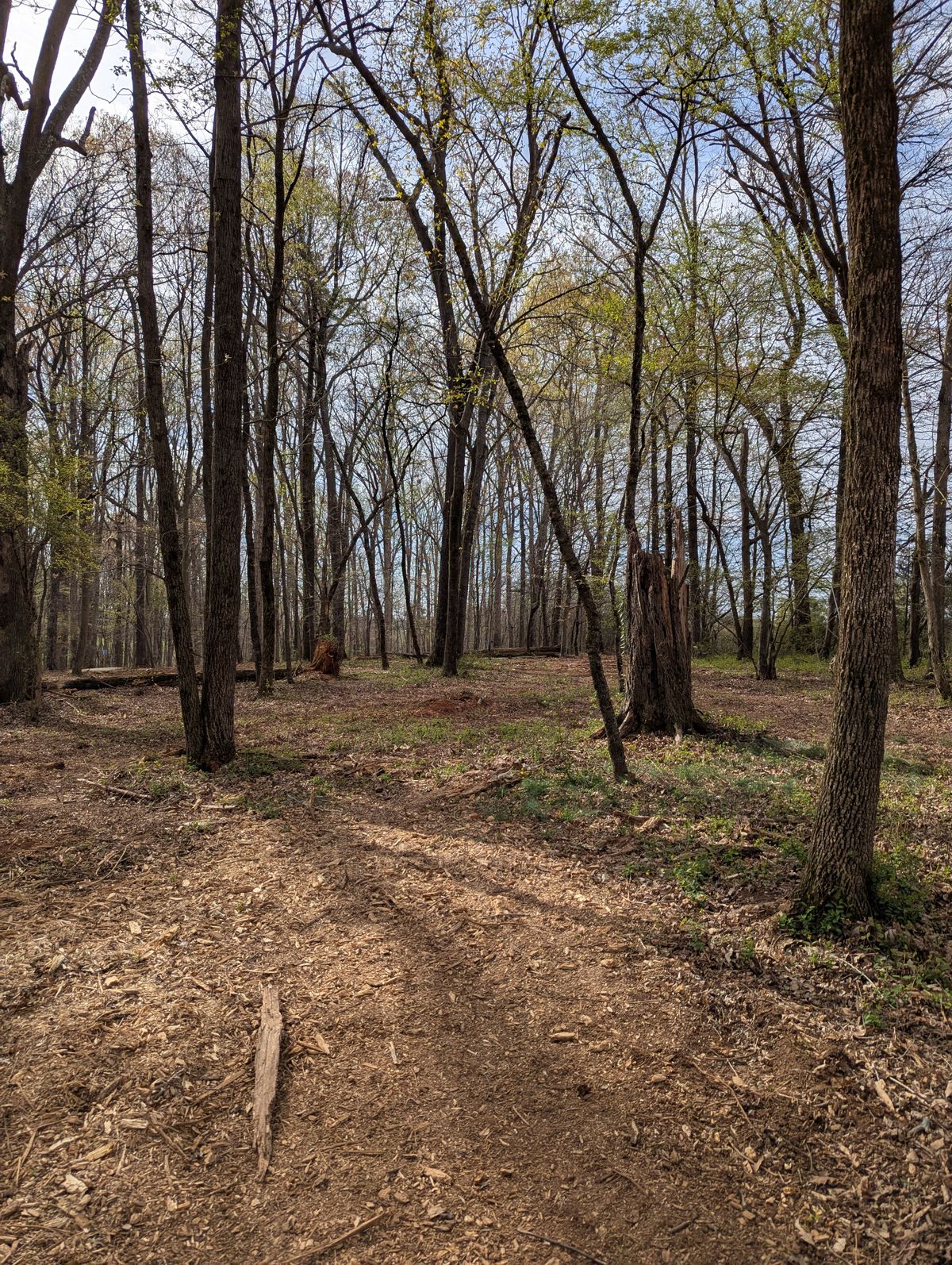 Hole 7 Approach