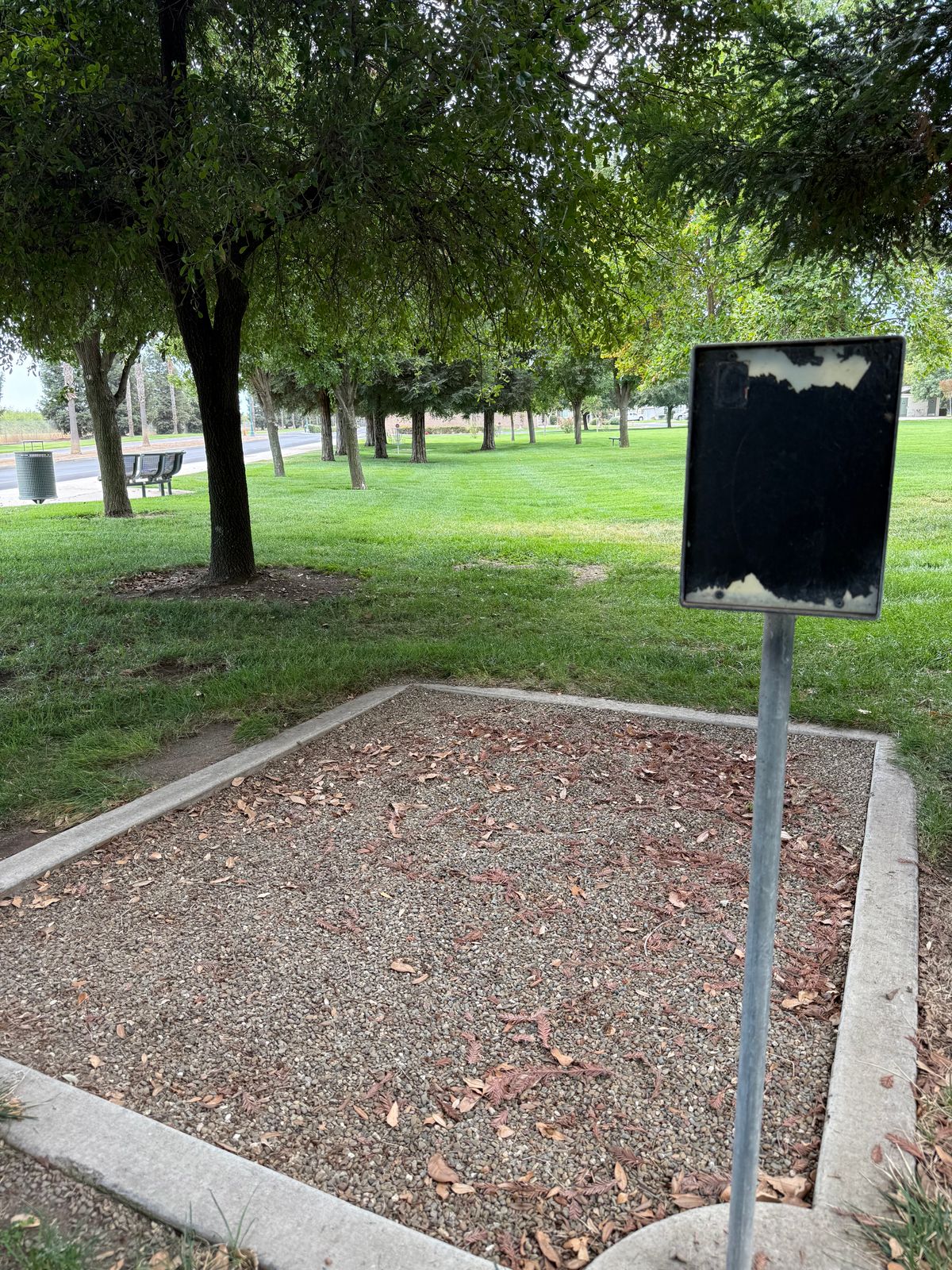 Hole 6 tee pad